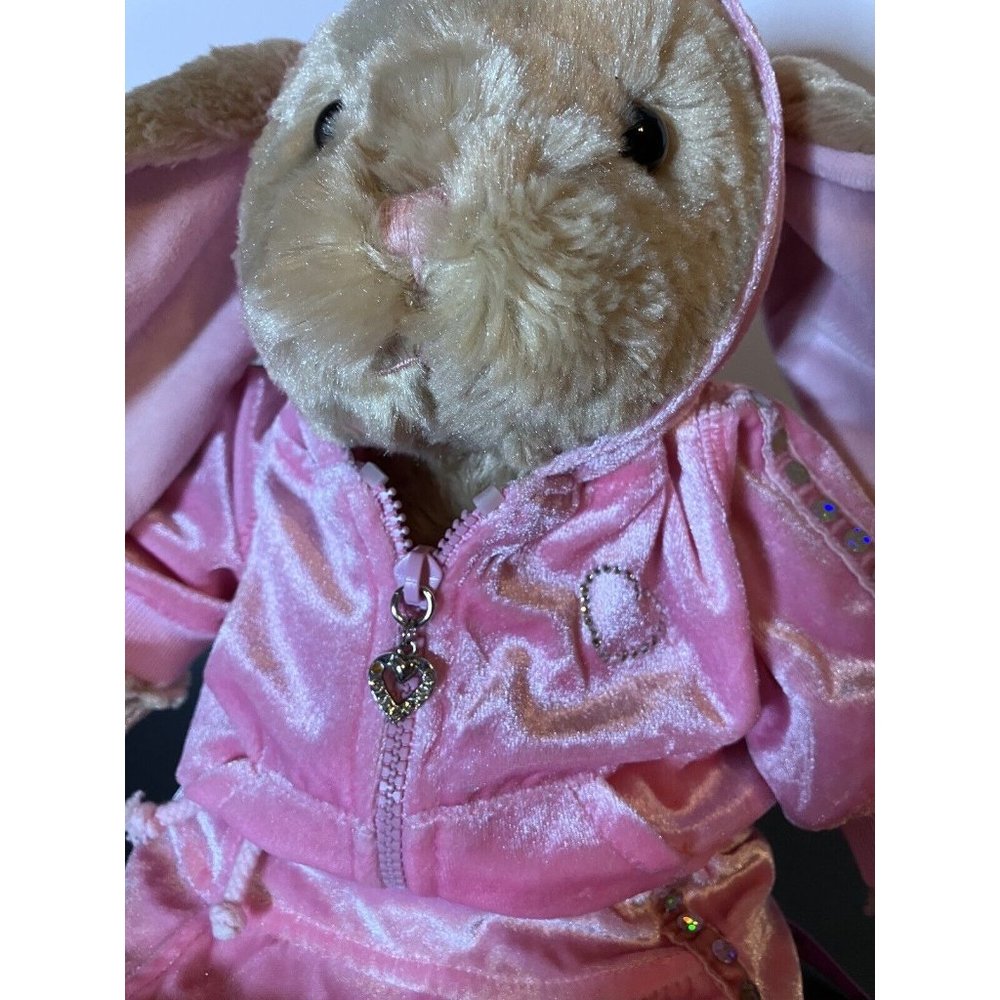 Build-A-Bear Tan Bunny Floppy Ears w/Pink Velvet  Rhinestone Hoodie Skirt Outfit - Picture 7 of 16
